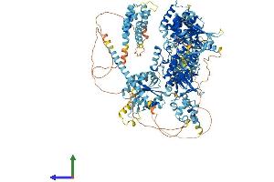 Protein Structure (PS) image for Mitogen-Activated Protein Kinase Kinase Kinase 15 (MAP3K15) (AA 1-1313) protein (His tag) (ABIN7554436)