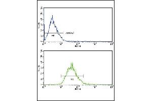 LDLR Antibody (Center) (ABIN652907 and ABIN2842585) FC analysis of MCF-7 cells (bottom histogram) compared to a negative control cell (top histogram). (LDLR 抗体  (AA 391-419))