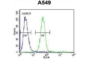 Flow Cytometry (FACS) image for anti-Caspase Recruitment Domain Family, Member 16 (CARD16) (AA 44-73), (N-Term) antibody (ABIN951040)