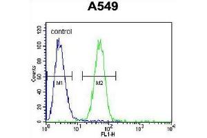 COP1 Antibody (N-term) flow cytometric analysis of A549 cells (right histogram) compared to a negative control cell (left histogram). (CARD16 抗体  (N-Term))