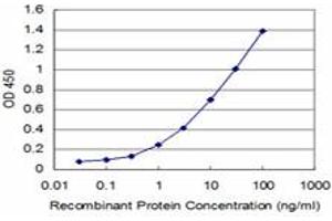 Detection limit for recombinant GST tagged PCNA is approximately 0. (PCNA 抗体  (AA 78-177))