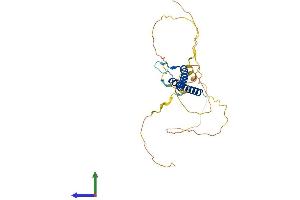 Protein Structure (PS) image for Oligodendrocyte Transcription Factor 3 (OLIG3) (AA 1-273) protein (His tag) (ABIN7558064)