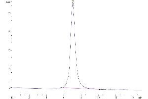 Size-exclusion chromatography-High Pressure Liquid Chromatography (SEC-HPLC) image for CD96 (CD96) (AA 22-536) protein (His tag) (ABIN7274276)