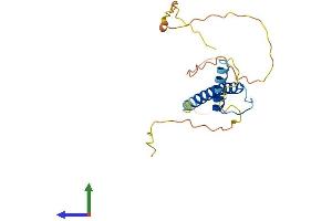 AlphaFold protein structure predicition of Human Recombinant MSC Protein, UniprotID O60682 (Musculin Protein (MSC) (AA 1-206) (His tag))