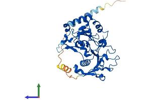 Protein Structure (PS) image for Fucosyltransferase 9 (Alpha (1,3) Fucosyltransferase) (FUT9) (AA 1-359) protein (His tag) (ABIN7562665)