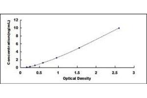 Typical standard curve (RGS1 ELISA 试剂盒)