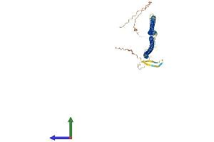 Protein Structure (PS) image for Cytokeratin 28 (KRT28) (AA 1-462) protein (His tag) (ABIN7562000)