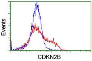 Image no. 4 for anti-Cyclin-Dependent Kinase Inhibitor 2B (p15, Inhibits CDK4) (CDKN2B) antibody (ABIN1497444) (CDKN2B 抗体)