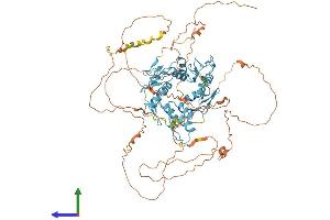 Protein Structure (PS) image for CCCTC-Binding Factor (Zinc Finger Protein) (CTCF) (AA 1-736) protein (His tag) (ABIN7563903)