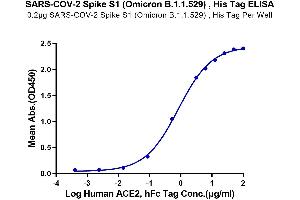 SARS-CoV-2 Spike S1 Protein (B.1.1.529 - Omicron) (His tag)