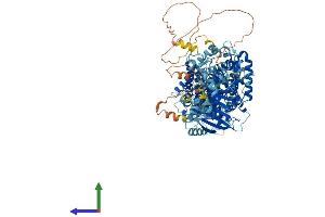 Protein Structure (PS) image for Solute Carrier Family 12 (Potassium-Chloride Transporter) Member 7 (SLC12A7) (AA 1-1083) protein (His tag) (ABIN7555397)
