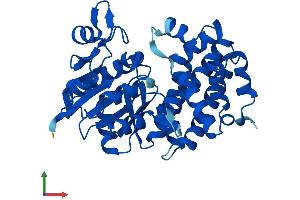 Protein Structure (PS) image for Glycerol-3-Phosphate Dehydrogenase 1 (Soluble) (GPD1) (AA 1-349) protein (His tag) (ABIN7548024)