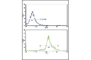 Flow cytometric analysis of widr cells using IA Antibody (N-term)(bottom histogram) compared to a negative control cell (top histogram)FITC-conjugated goat-anti-rabbit secondary antibodies were used for the analysis. (PPIA 抗体  (N-Term))