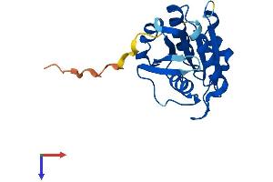 Protein Structure (PS) image for ADP-Ribosylation Factor-Like 9 (ARL9) (AA 1-187) protein (His tag) (ABIN7552323)