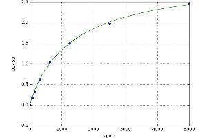 A typical standard curve (LAMa4 ELISA 试剂盒)