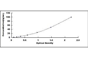 Typical standard curve (Clusterin ELISA 试剂盒)