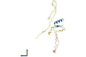 AlphaFold protein structure predicition of Human Recombinant ZNF428 Protein, UniprotID Q96B54