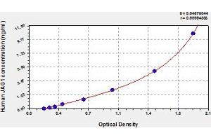 Jagged 1 (JAG1) ELISA Kit