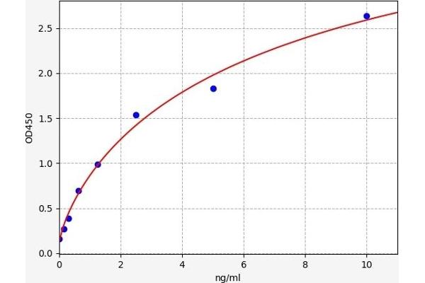 HSD17B10 ELISA 试剂盒