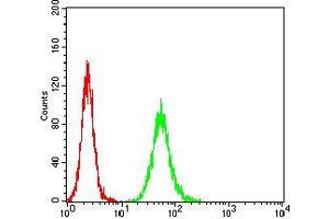 Flow cytometric analysis of Hela cells using ANAPC10 mouse mAb (green) and negative control (red).
