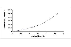 Typical standard curve (FGF4 ELISA 试剂盒)