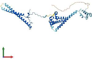 Protein Structure (PS) image for Cell Division Cycle 37 Homolog (S. Cerevisiae) (CDC37) (AA 1-379) protein (His tag) (ABIN7557660)