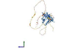 AlphaFold protein structure predicition of Human Recombinant ATCAY Protein, UniprotID Q86WG3