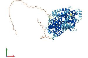 Protein Structure (PS) image for Solute Carrier Family 11 (Proton-Coupled Divalent Metal Ion Transporters), Member 2 (SLC11A2) (AA 1-568) protein (His tag) (ABIN7563335)