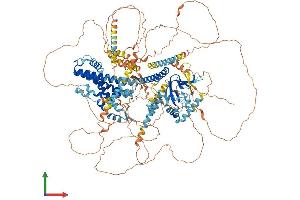 Protein Structure (PS) image for Cyclic Nucleotide Gated Channel beta 1 (CNGB1) (AA 1-1251) protein (His tag) (ABIN7553525)