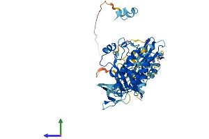 Protein Structure (PS) image for Src-Related Kinase Lacking C-Terminal Regulatory Tyrosine and N-Terminal Myristylation Sites (SRMS) (AA 1-496) protein (His tag) (ABIN7557777)