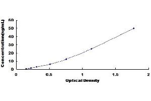 Typical Standard Curve (Adiponectin Receptor 1 ELISA 试剂盒)