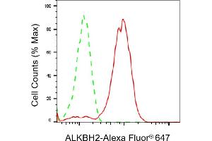 Flow cytometric analysis of ALKBH2 expression in HepG2 cells using ALKBH2 antibody (ABIN7797580), 1:2,000). (Recombinant ALKBH2 抗体)