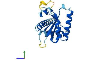Protein Structure (PS) image for Growth Arrest and DNA-Damage-Inducible, beta (GADD45B) (AA 1-160) protein (His tag) (ABIN7562966)