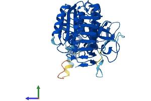 Protein Structure (PS) image for GDP-Mannose Pyrophosphorylase A (GMPPA) (AA 1-420) protein (His tag) (ABIN7560222)
