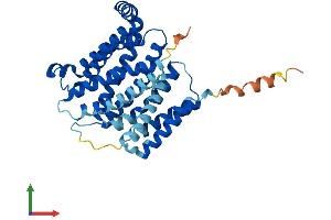 Protein Structure (PS) image for CMP-Sialic Acid Transporter (CMPST) (AA 1-337) protein (His tag) (ABIN7551714)