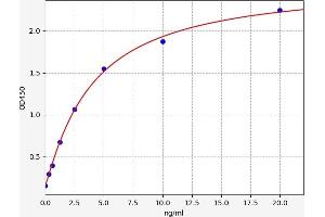 SEMA3G ELISA 试剂盒