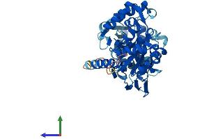 AlphaFold protein structure predicition of Mouse Recombinant Spo11 Protein, UniprotID Q9WTK8