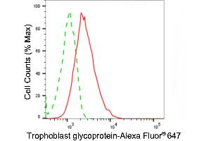 Flow cytometric analysis of Trophoblast glycoprotein expression in HAP-1 cells using Trophoblast glycoprotein antibody (ABIN7800649), 1:2,000).