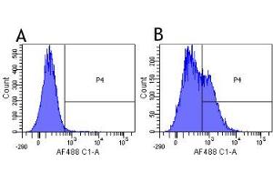 Flow-cytometry using the anti-CD25 (IL2R) research biosimilar antibody Daclizumab   Human lymphocytes were stained with an isotype control (panel A) or the rabbit-chimeric version of Daclizumab (panel B) at a concentration of 1 µg/ml for 30 mins at RT.