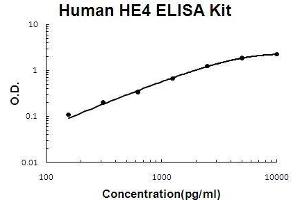 Human HE4 PicoKine ELISA Kit standard curve (WFDC2 ELISA 试剂盒)