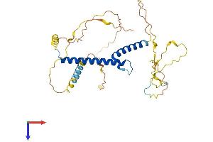 PTF1A Protein (AA 1-324) (His tag)