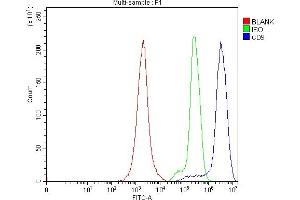 Flow Cytometry analysis of JK cells using anti-CD9 antibody (ABIN7600001).
