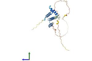 Protein Structure (PS) image for Helt BHLH Transcription Factor (HELT) (AA 1-240) protein (His tag) (ABIN7558287)