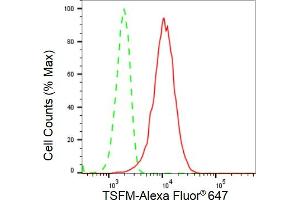 Flow cytometric analysis of TSFM expression in HeLa cells using TSFM antibody (ABIN7800656), 1:2,000).
