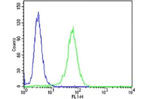 Flow Cytometry (FACS) image for anti-Neurotrophic tyrosine Kinase, Receptor, Type 3 (NTRK3) (AA 393-426) antibody (ABIN6243920)