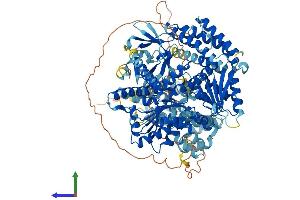 AlphaFold protein structure predicition of Human Recombinant IFIH1 Protein, UniprotID Q9BYX4