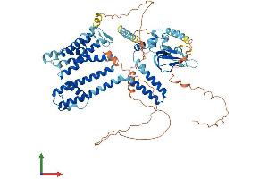 Protein Structure (PS) image for Cyclic Nucleotide Gated Channel beta 3 (CNGB3) (AA 1-694) protein (His tag) (ABIN7565107)