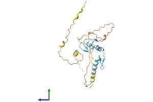 Protein Structure (PS) image for Odd-Skipped Related 1 (OSR1) (AA 1-266) protein (His tag) (ABIN7556321)