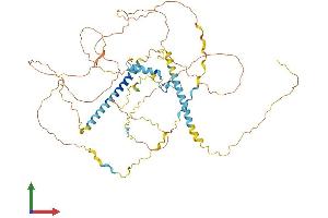 Protein Structure (PS) image for FIP1 Like 1 (FIP1L1) (AA 1-581) protein (His tag) (ABIN7561110)