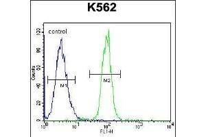 TCF21 Antibody (C-term) (ABIN655524 and ABIN2845037) flow cytometric analysis of K562 cells (right histogram) compared to a negative control cell (left histogram). (TCF21 抗体  (C-Term))